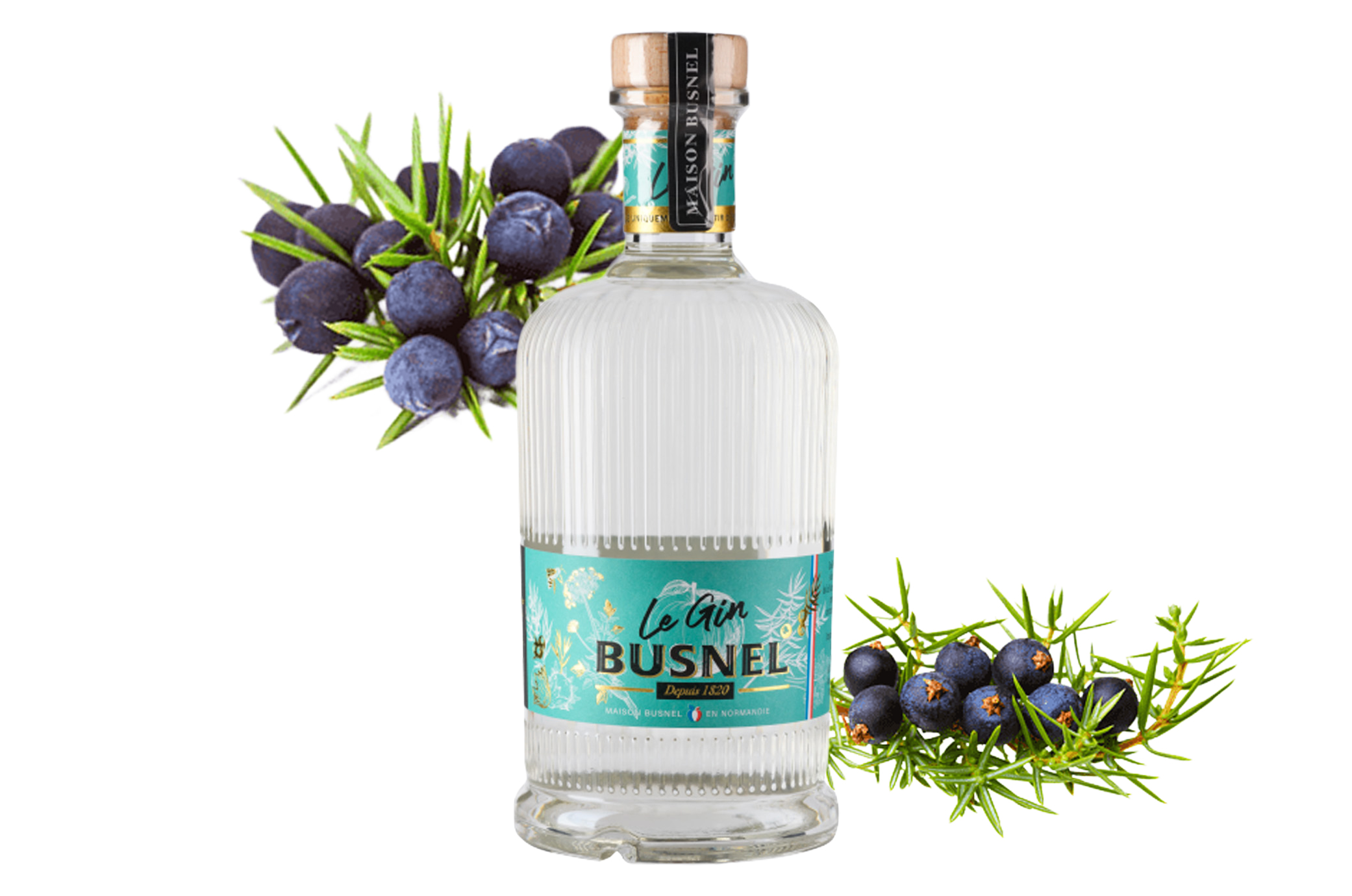 Image catégorie Gin