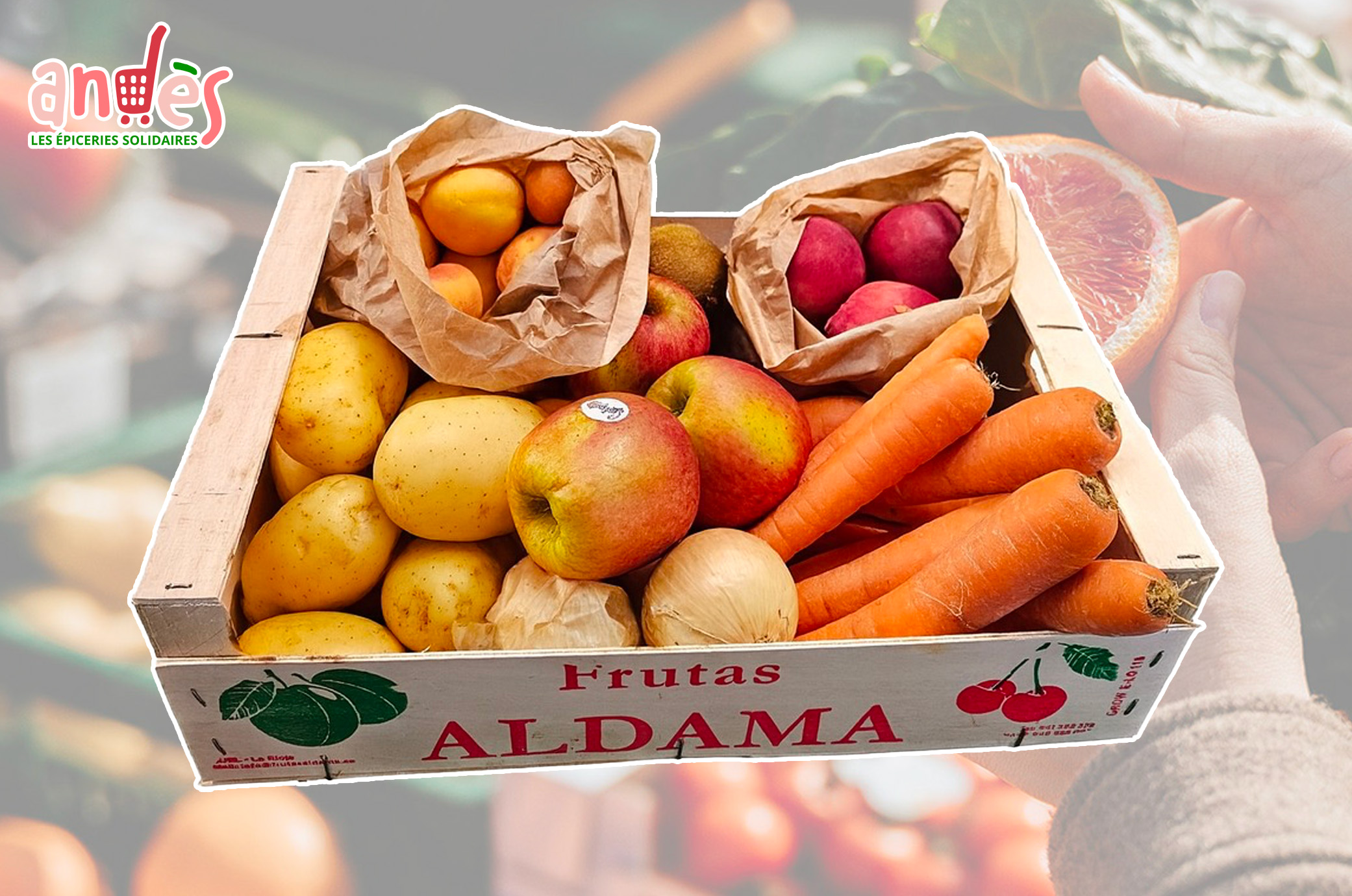 PANIER DE FRUITS ET LEGUMES