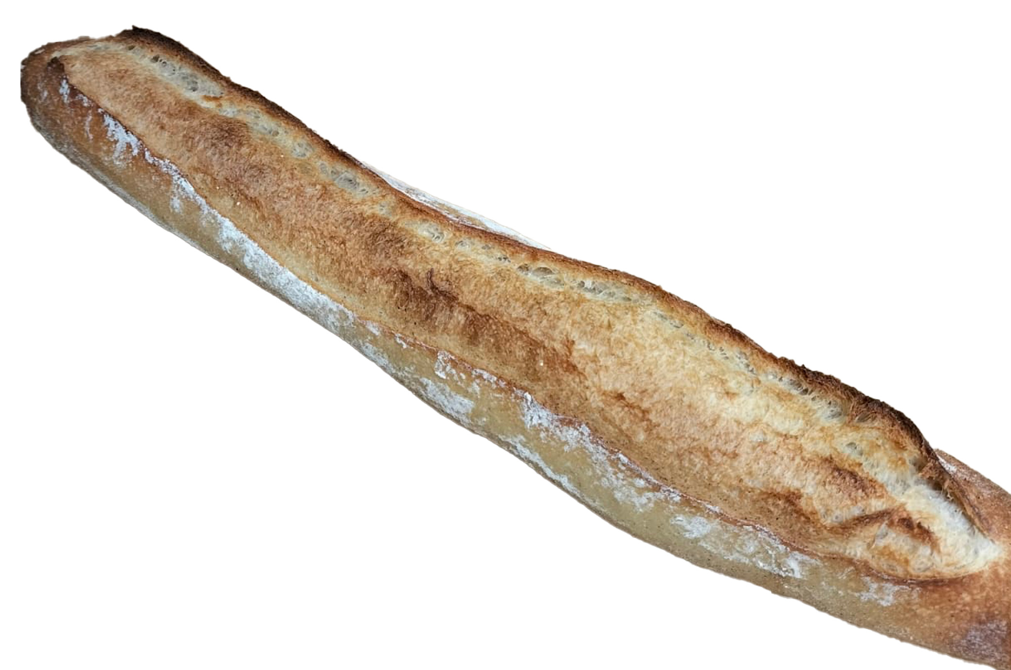 Baguette tradition (GREGOIRE)