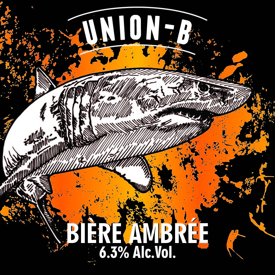 Bière REQUIN Ambrée Union-B 33cl