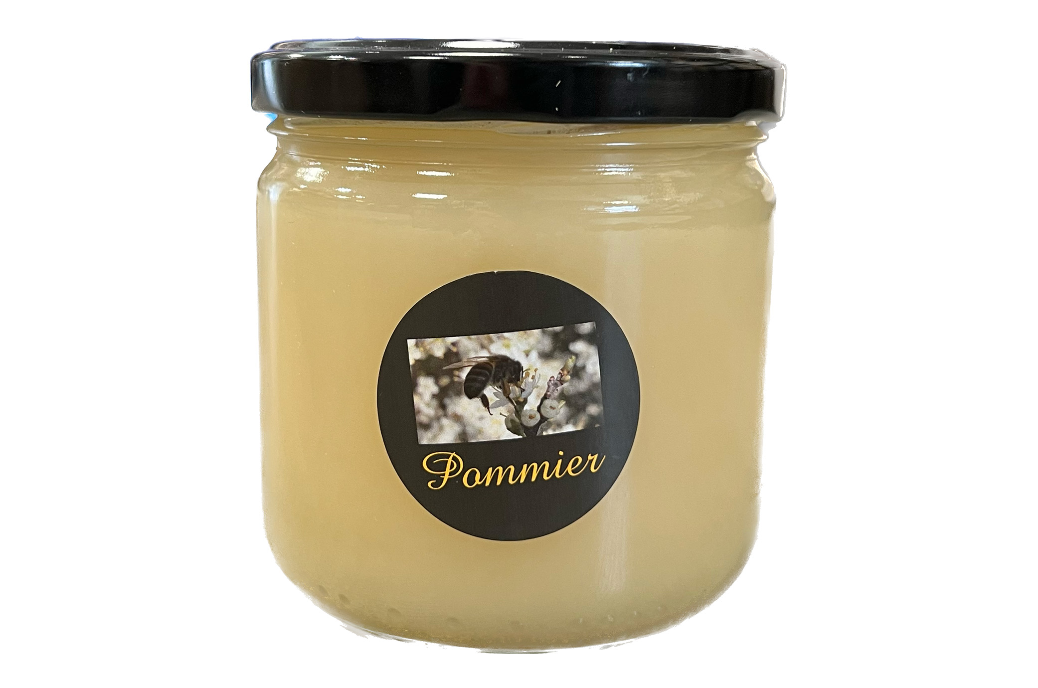 Miel de Pommier Percherons