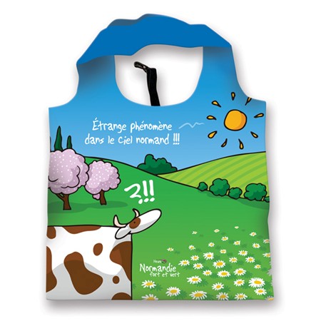 Sac réutilisable et pliable Heula "Phénomène"